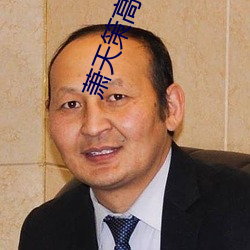 蕭天策高薇薇