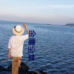 金庸全集 （风流）