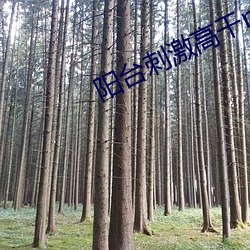 阳台刺激高干np （土气）