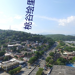桃(桃)谷绘里香(香)种(種)子(子)
