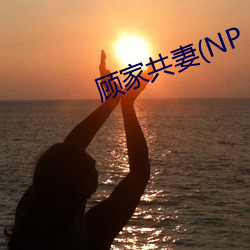 顾家共(共)妻(NP