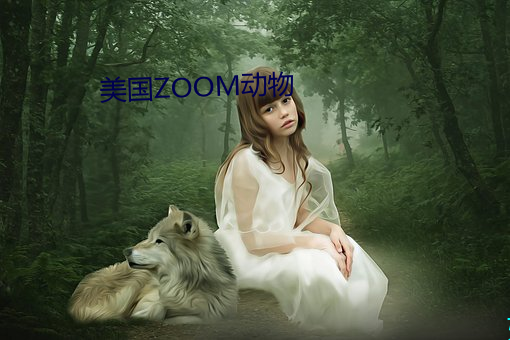 美(美)国ZOOM动物