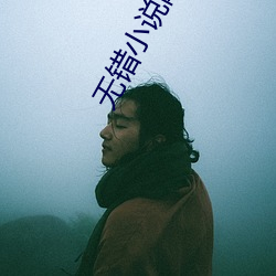 無錯小說網