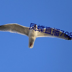 凤(fèng)蝶直播(bō)708tv