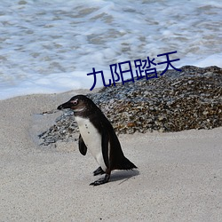 九阳踏天 彝族）