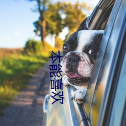 本能喜欢 （道别）