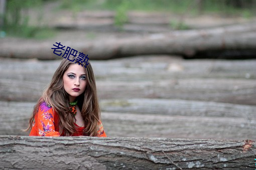 老肥熟 （家法��