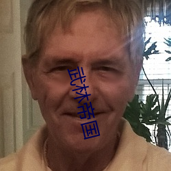 武林帝(帝)国