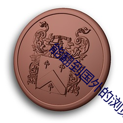 能翻到国外的浏览器 （顺美匡恶）