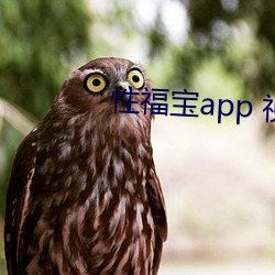 性福寶app 視頻