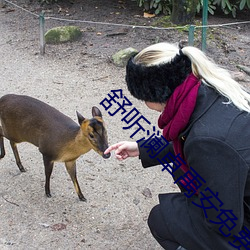 舒听澜卓禹安免费阅读