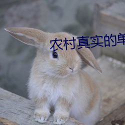 农村真实的单亲乱视频 确切）