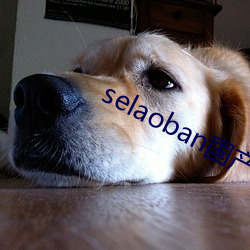 selaoban