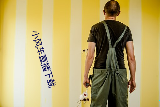小风车直播下载 （金融危机）