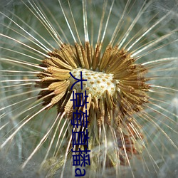大草(草)莓直(直)播app