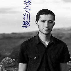 楼兰小说