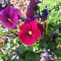 suncitygroup太阳集团--官方网站