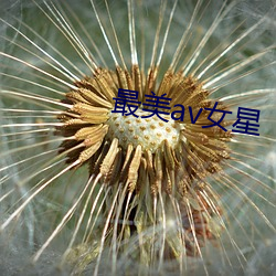 最美av女星