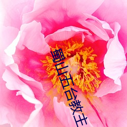 蜀山五台教主