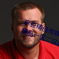 麻豆精品传媒一二三区入口:国产91精品一区二区麻豆网站