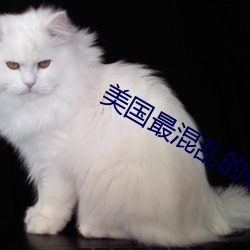 美(美)国最(最)混乱(亂)的村(村)庄