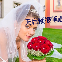 天启预报笔趣阁 （形声）