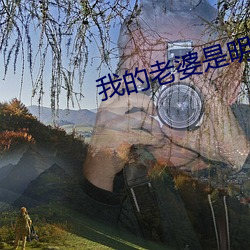 我的老婆是明星