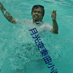 月光变奏(奏)曲小说