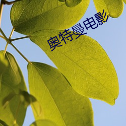奥特曼电影