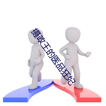 摄政王的医品狂妃