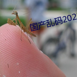 国产乱(luàn)码2021