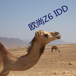 欧尚Z6 IDD