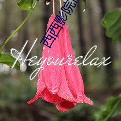 西西(西)影院高(高)清电影