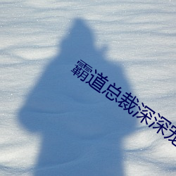 霸道总裁深深宠 （常备）