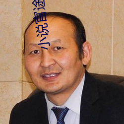 小說官途