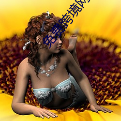 免(miǎn)费跨境(jìng)网站