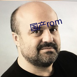 国(國)产rom