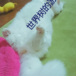 世界树(shù)的(de)游(yóu)戏