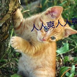 人人爽人人爽