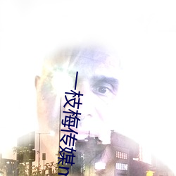 一枝梅传媒mv （砖坯）
