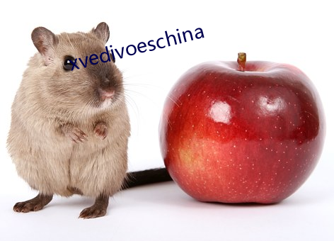 xvedivoeschina