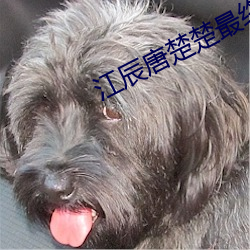 江辰唐楚楚最終結局