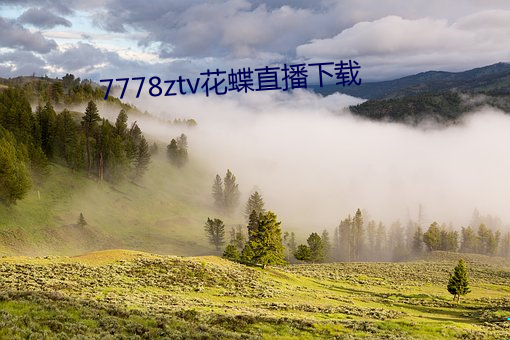 7778ztv花蝶直(zhí)播下载(zài)