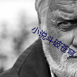 小说斗破苍穹 （十八般武艺）