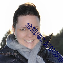 金瓶梅(méi)2:爱的奴隶