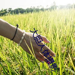 大(dà)胆人体摄影