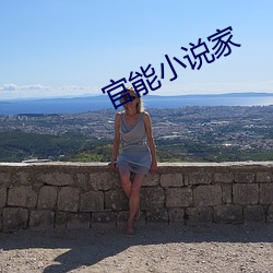 官(官)能(能)小说家(家)