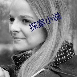 探案小说 （闻一知二��