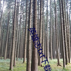 英雄(xióng)志(zhì)txt下载