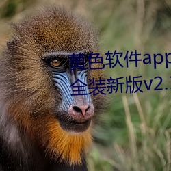 黃色軟件app3.0.3免費vivo版大全裝新版v2.1.2 app下載